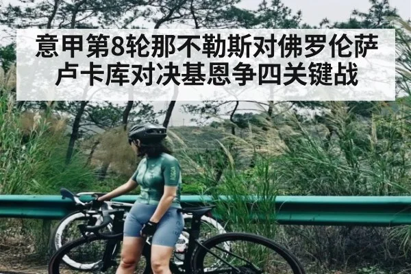 意甲第8轮那不勒斯对佛罗伦萨 卢卡库对决基恩争四关键战